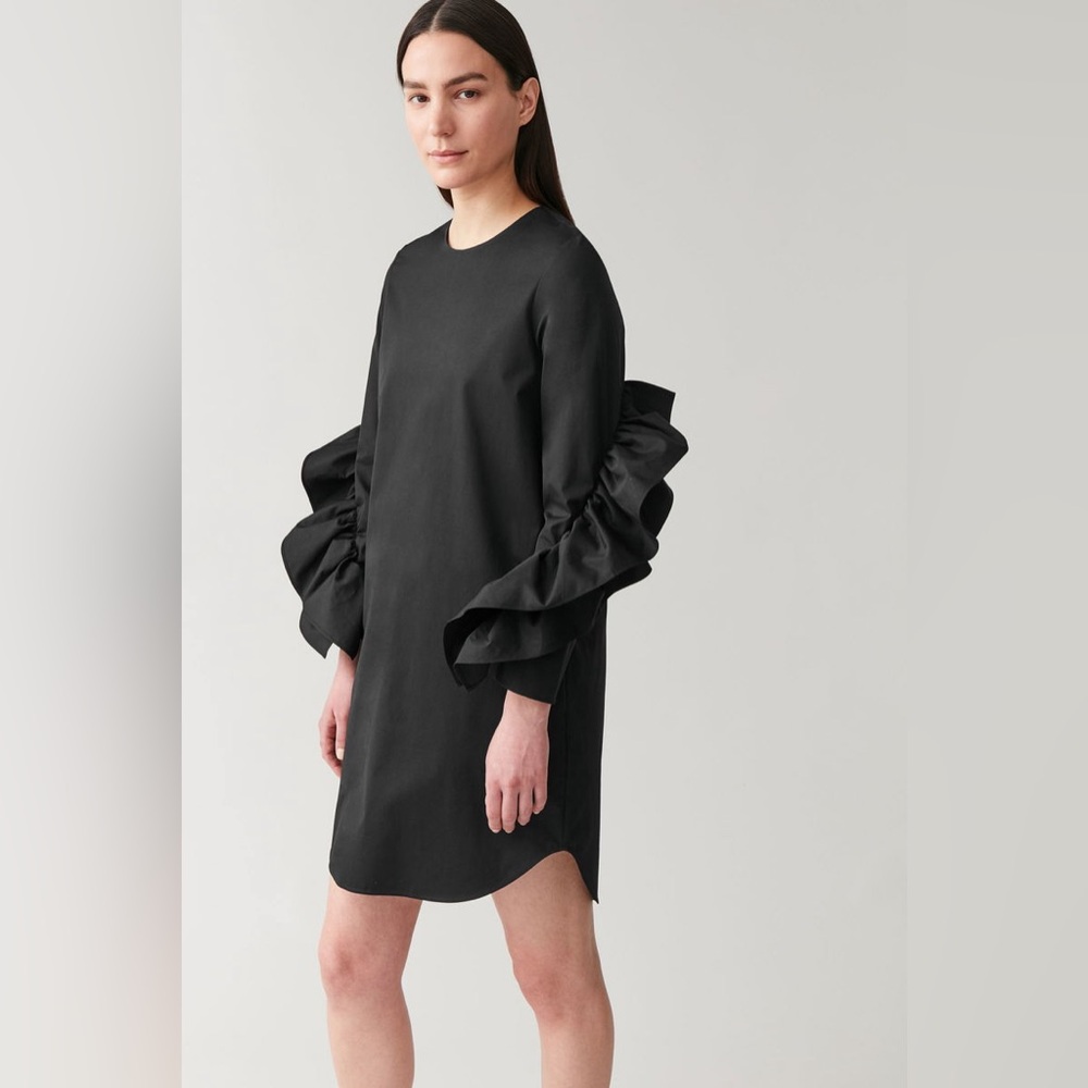 COS Dress With Sleeve Ruffles size 2 - Picture 4 of 6